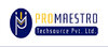 Promaestro Techsource Logo