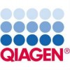 QIAGEN Logo