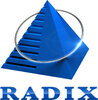 Radix Software Services logo