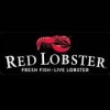 Red Lobster