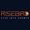 Risebird Talent Solutions Logo