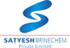 Satyesh Brinechem logo