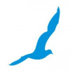 Seagull Advertising logo