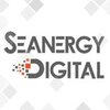 SEANERGY DIGITAL INDIA PVT LTD logo