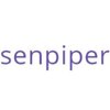 Senpiper Technologies India Private Limited logo