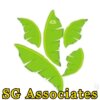 SG Associates logo