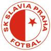 Sksl logo