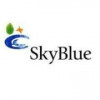 Skyblue Art Private Limited logo