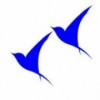 SKYLARK HR SOLUTIONS PVT LTD  logo