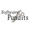 Software Pundits (India) Private Limited