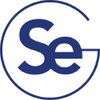 Solution Engineering Group logo