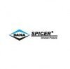 Dana Anand Logo
