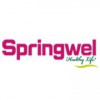 Springwel Mattresses logo