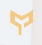 Sree Metaliks Logo