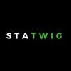 STATWIG TECHNOLOGY SERVICES Pvt. Ltd logo