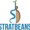 StratBeans Consulting Pvt. Ltd.