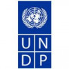 strategic alliance management system UNDP logo