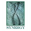 Synergy Computer Solutions Intl Ltd logo