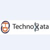 TechnoData Analytics Services