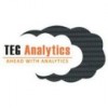 TEG Analytics