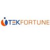 TekFortune logo