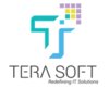 TeraSoftware Limited logo