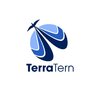 TerraTern logo