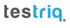 TESTRIQ QA Lab Logo