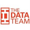 The Data Team logo