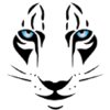 WildTigers Technologies Pvt. Ltd. logo