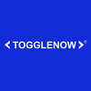 ToggleNow Software Solutions logo