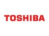 Toshiba Johnson Elevators