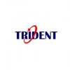 Trident Information Systems logo