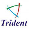 Trident Infosol