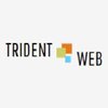 Trident Web Infoservices logo