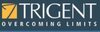 Trigent Software Professional Services logo