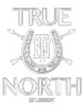 True North Ar logo