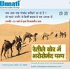 Unnati Pumps logo