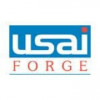 USAI Forge logo