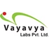 Vayavya Labs logo