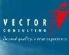 Vector Consulting Group logo