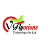 Vflyorions logo