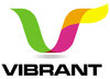 Vibrant Infocom