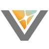 Viewics logo