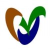 Visionri Connexion Services logo