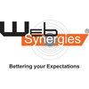 Web Synergies Logo