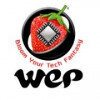 Wepsol Logo