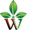 WerIndia.com logo