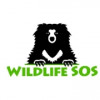 Wildlife SOS logo