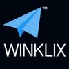 Winklix Internet logo